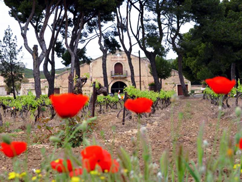 Un lieu chaleureux, le Château Virant à Lançon de Provence