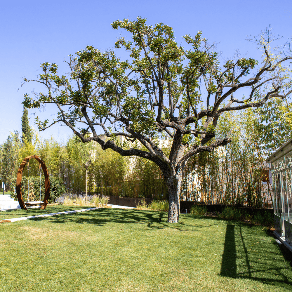 ©Pavillon Monticelli