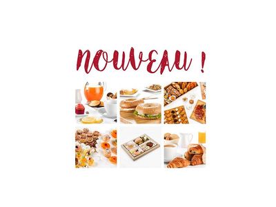 Nos prestations sur le secteur de Montpellier Hérault